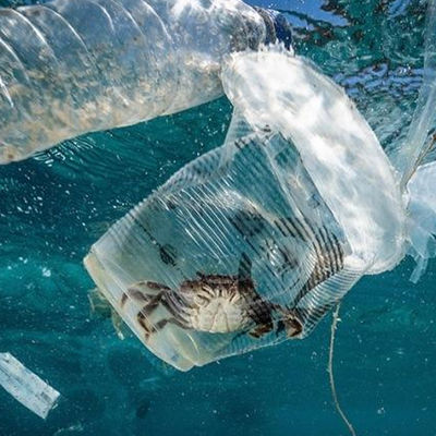Laboratorium Uji Tanah Dan Air Ul Pendidikan Otoritas Kontaminasi Biologis Layanan autentikasi pihak ketiga