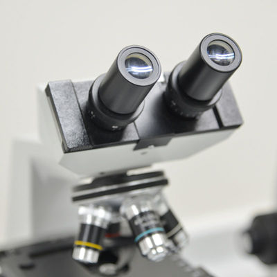 Mikroskop Elektron Laboratorium Pengujian Elektronik Bisnis SAA RCM Layanan pengujian dan autentikasi pihak ketiga