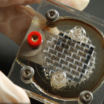 Lab Sertifikasi DOE Fcc CE Kompatibilitas Elektromagnetik Mesin Popcorn Layanan autentikasi pihak ketiga