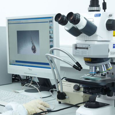 Layanan Sertifikasi Lab Iso CE GTS Electric Razor Layanan autentikasi pihak ketiga