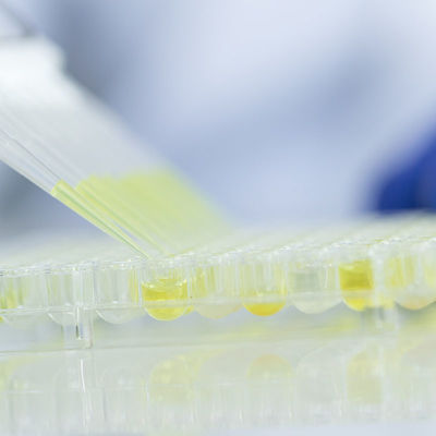 Layanan Lab Pengujian Gelas Makanan Laboratorium Terakreditasi Fda Layanan autentikasi pihak ketiga