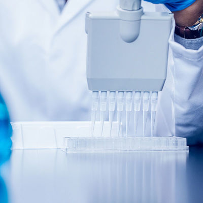 Kualitas Sertifikasi Lab FDA NEMKO Sgs Lab Testing Layanan autentikasi pihak ketiga